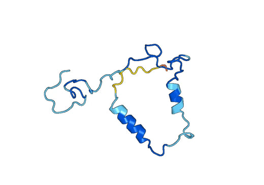 MPO (Val165-Gly278), N-His, recombinant protein