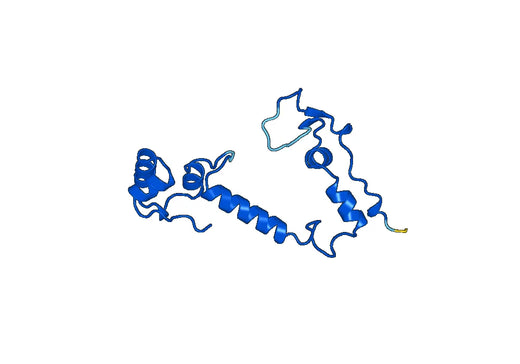 MPO (Cys606-Ser745), N-His, recombinant protein