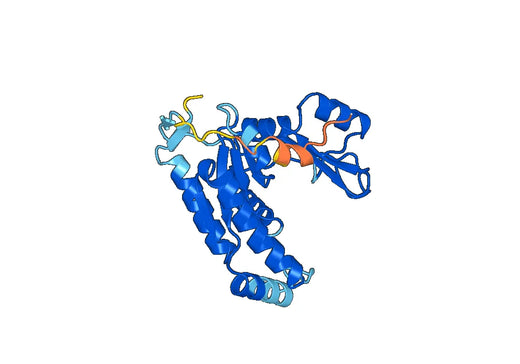 MPP2, N-His, recombinant protein