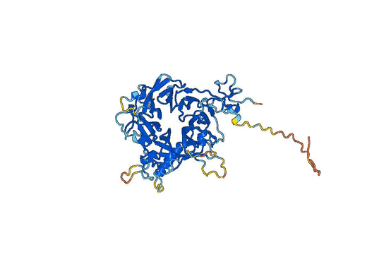 MST1R recombinant protein