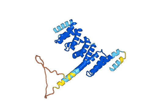 MTOR, N-His, recombinant protein