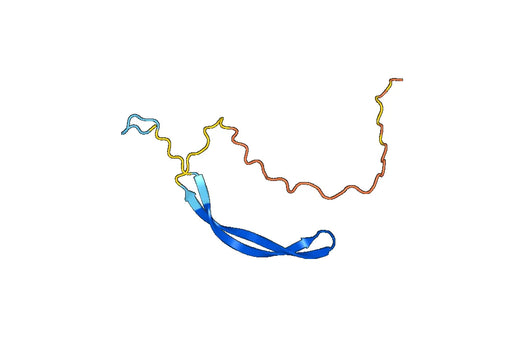 MUC5AC, N-His, recombinant protein