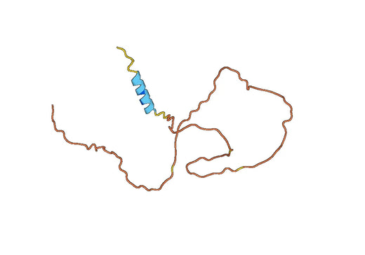 Mucin-1(Met1-Pro146)