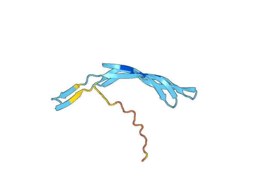 Mucin-5B(MUC5B)