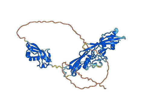 Mycoplasma LppA Recombinant Protein