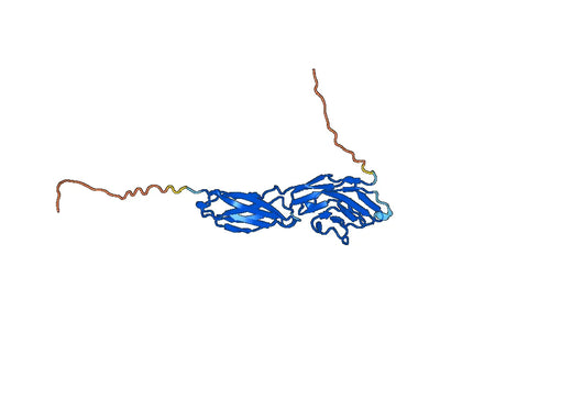Myeloid cell surface antigen CD33(CD33)