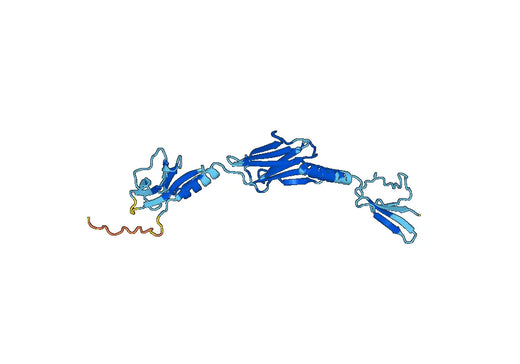 Myomesin-3(MYOM3)