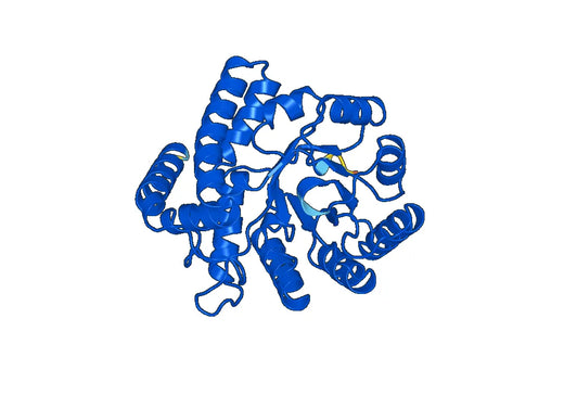 N-acetylneuraminate lyase(nanA)