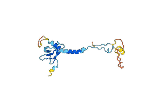 NADPH oxidase 4(NOX4) (210-424)