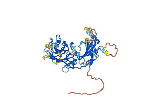 Nephrocystin-4(Nphp4)Nter