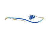 Nesvacumab Biosimilar - Anti-ANGPT2 mAb - Research Grade