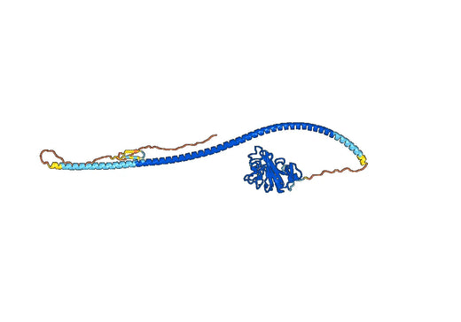 Nesvacumab ELISA Kit