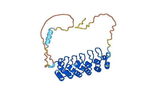 NF-kappa-B inhibitor alpha(NFKBIA) (with CPP2)