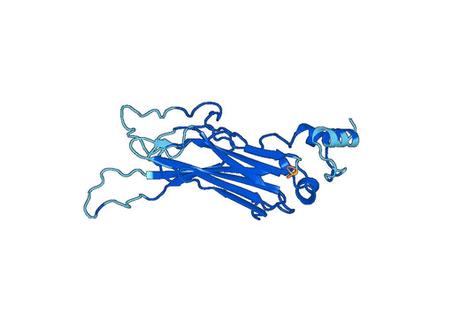 Nile tilapia NCCRP1 recombinant protein