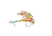 Nirsevimab Biosimilar – Anti-RSV Monoclonal Antibody for Research