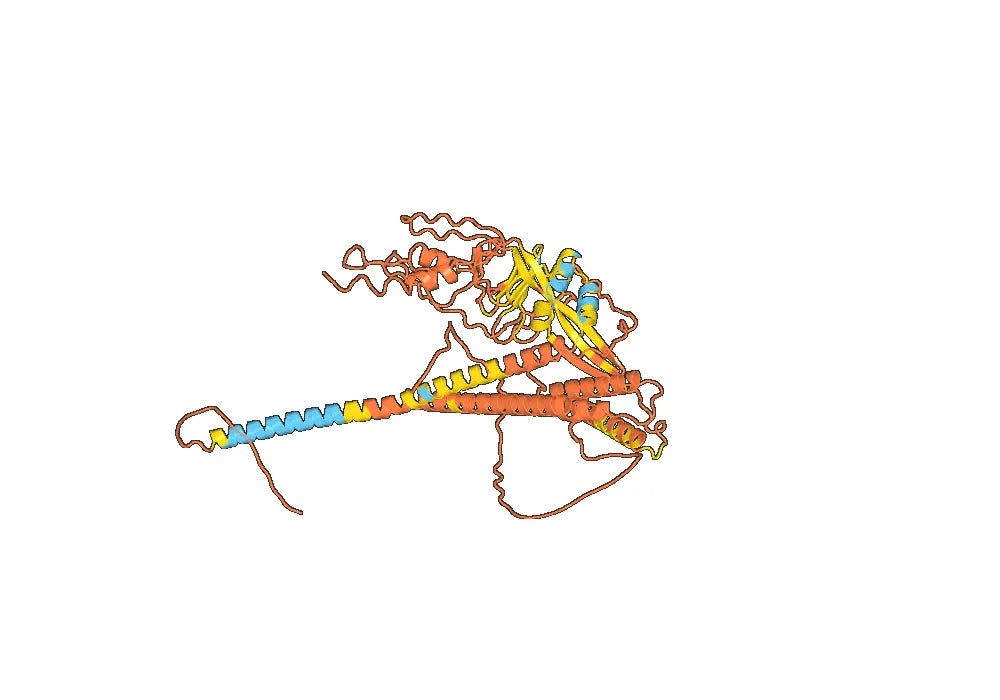 Nirsevimab Biosimilar – Anti-RSV Monoclonal Antibody for Research