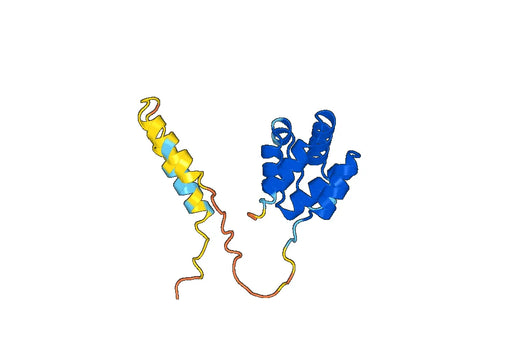 NLRP3, N-His, recombinant protein