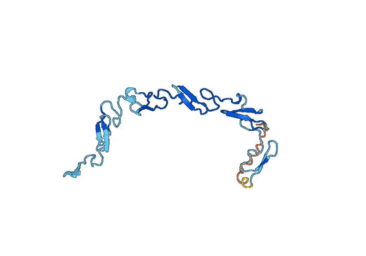 NOTCH2NLA, N-His, recombinant protein