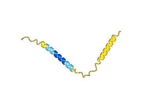 NPPB, N-His, recombinant protein