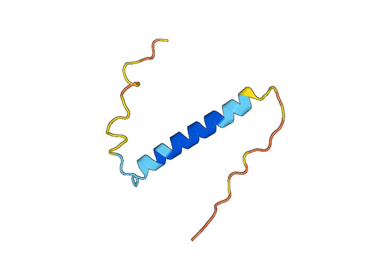 NRGN, N-His, recombinant protein