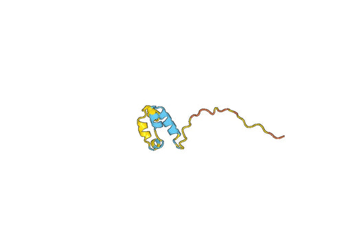 NUCB2, N-His, recombinant protein