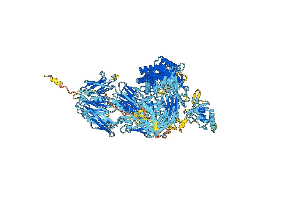 Olendalizumab Biosimilar - Anti-C5 mAb - Research Grade