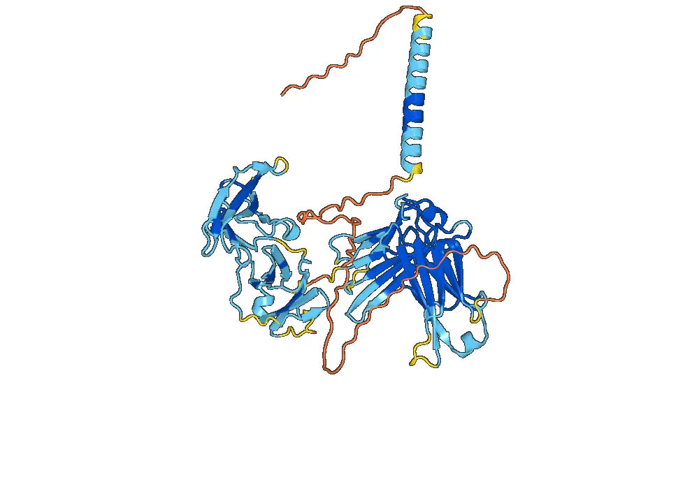 Omalizumab Biosimilar - Anti-IGHE mAb - Research Grade