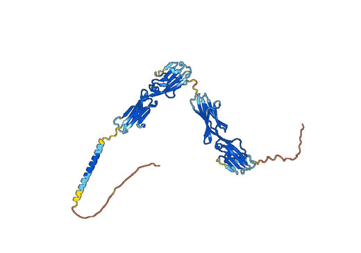 Omburtamab ELISA Kit