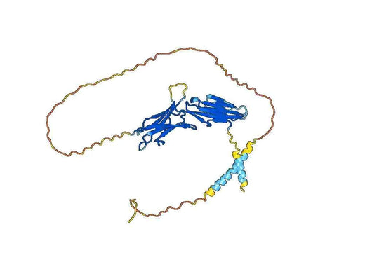 Ontamalimab ELISA Kit