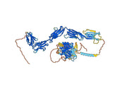 Opelkibart Biosimilar - Anti-Mast/stem cell growth factor receptor Kit mAb - Research Grade