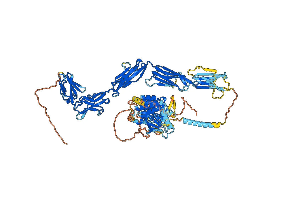 Opelkibart Biosimilar - Anti-Mast/stem cell growth factor receptor Kit mAb - Research Grade