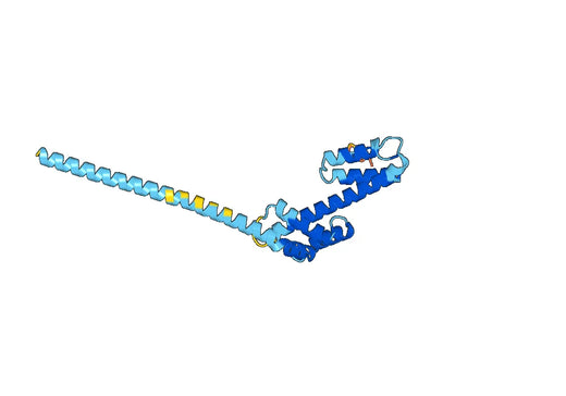 ORF256(orf256)