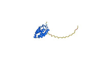 Otilimab Biosimilar - Anti-CSF2, GM-CSF mAb - Research Grade