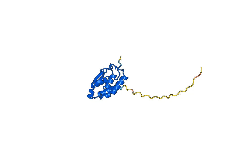 Otilimab Biosimilar - Anti-CSF2, GM-CSF mAb - Research Grade