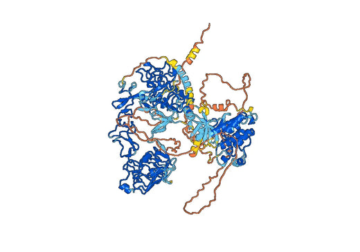 Panitumumab ELISA Kit