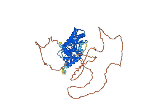 PAPD7 MACMU Protein (8812)