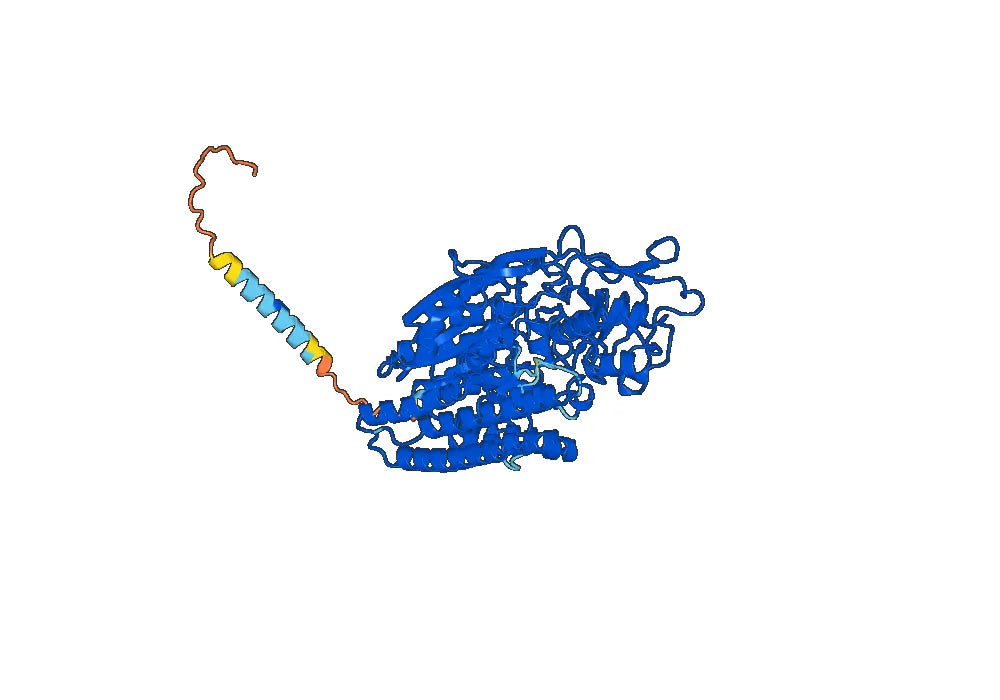 Pasotuxizumab Biosimilar - Anti-CD3E, FOLH1 mAb - Research Grade