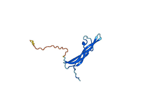 PDGFA, N-His, recombinant protein
