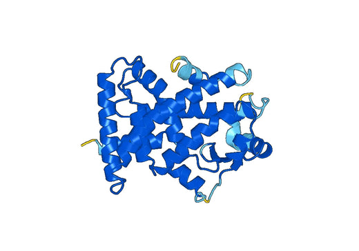Peroxisome proliferator-activated receptor alpha(PPARA)