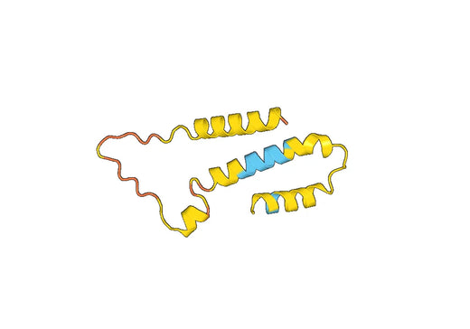 PEX2, N-His, recombinant protein