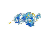 Pexelizumab Biosimilar - Anti-C5 mAb - Research Grade