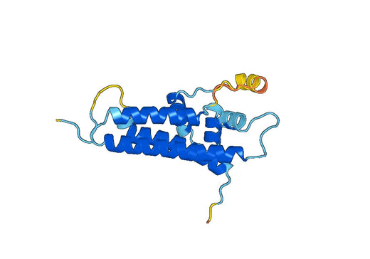 PfEMP1 variant 1 of strain MC ( MCvar-1 PfEMP1)