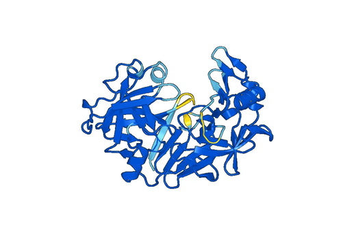 PGA3 (Val63-Ala388), C-His, recombinant protein