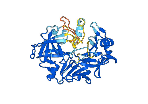 PGA5, N-His, recombinant protein