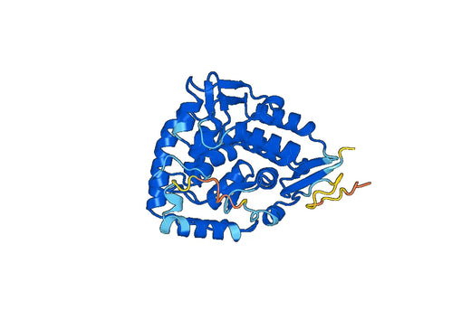 Phenylalanine-4-hydroxylase(PAH)
