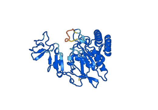 Phosphoenolpyruvate carboxykinase [GTP], mitochondrial(PCK2)