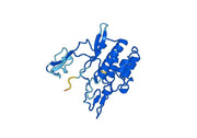 PINK1, N-His, recombinant protein