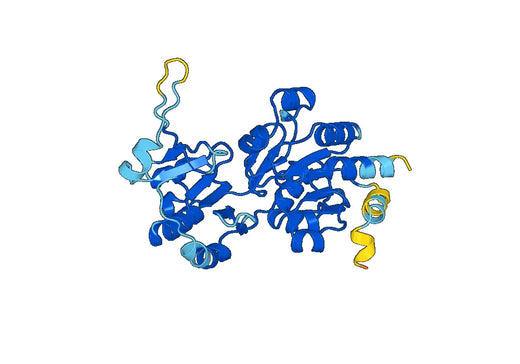 Plasmodium falciparum PFL1260 Recombinant Protein