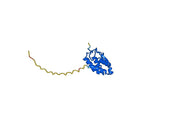 Plonmarlimab Biosimilar - Anti-CSF2 mAb - Research Grade