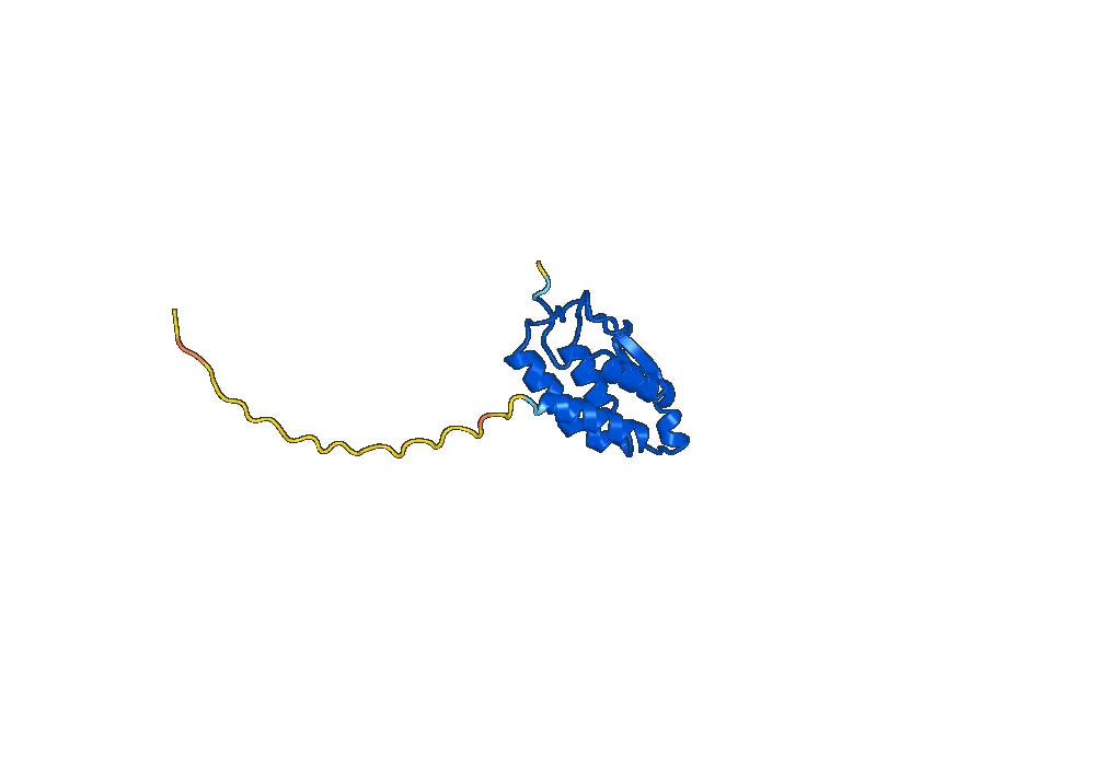 Plonmarlimab Biosimilar - Anti-CSF2 mAb - Research Grade